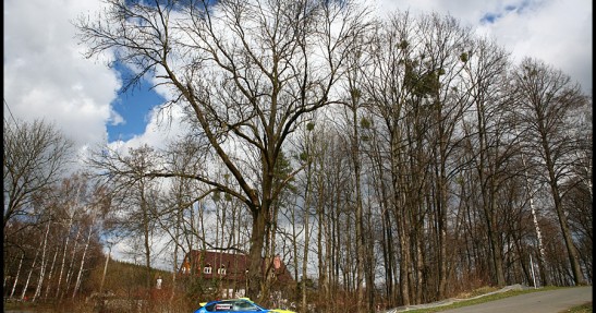 Valasska Rally
